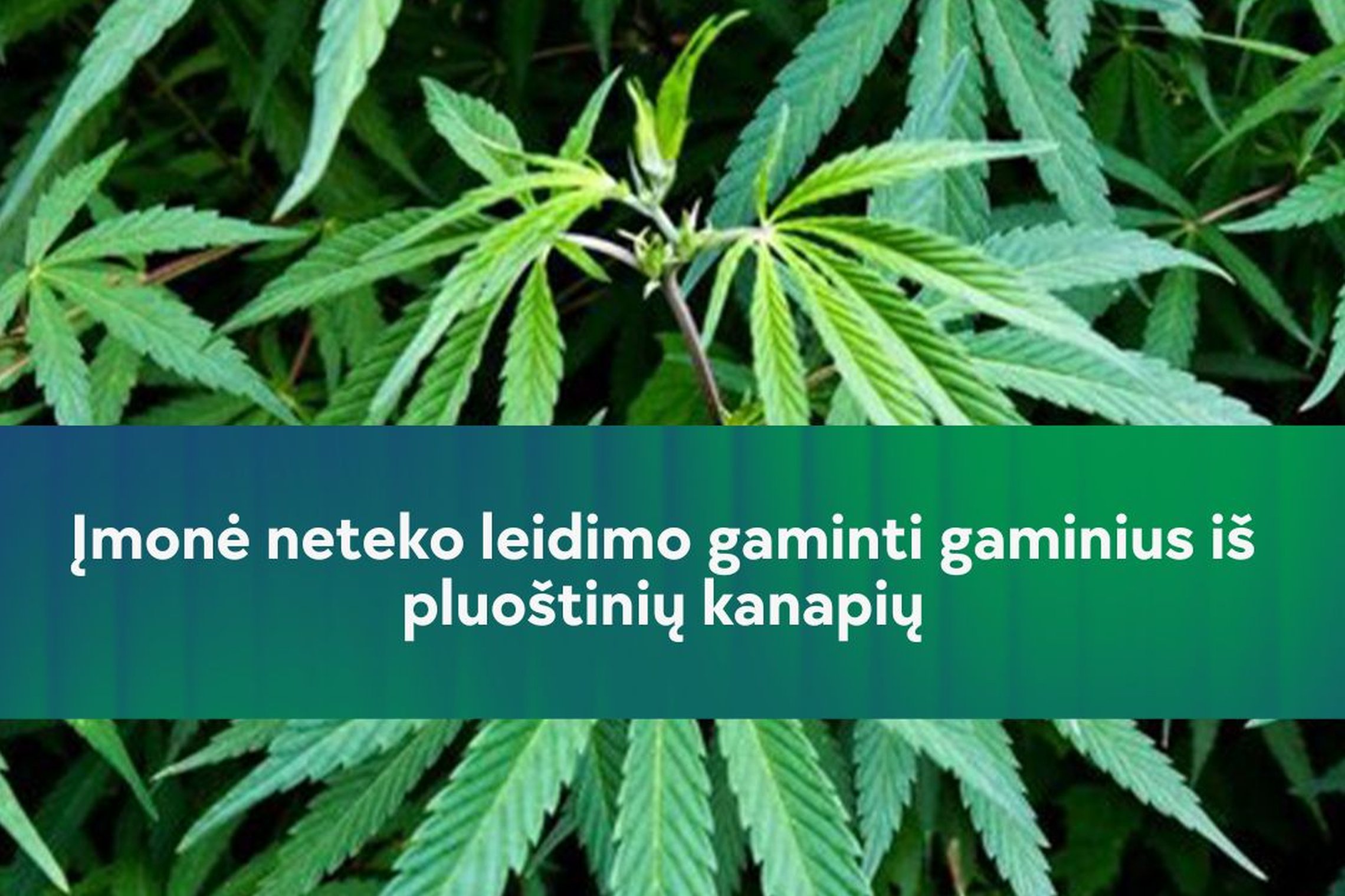 Iliustracija